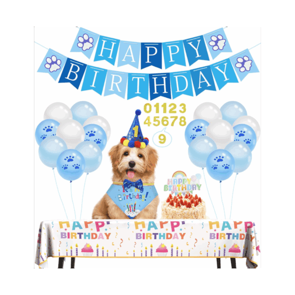 Dog Party Kit